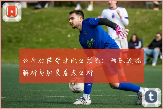 公牛对阵奇才比分预测:两队近况解析与胜负看点分析