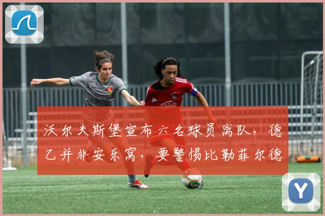 沃尔夫斯堡宣布六名球员离队,德乙并非安乐窝,要警惕比勒菲尔德式悲剧重演_德甲_本赛季_达吉姆