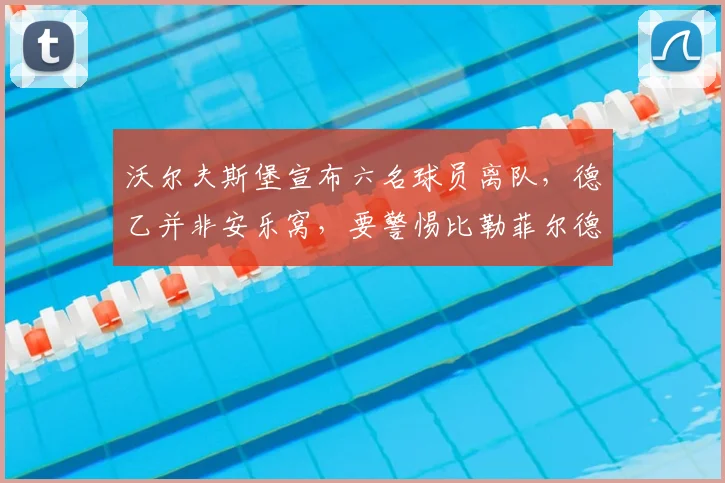 沃尔夫斯堡宣布六名球员离队，德乙并非安乐窝，要警惕比勒菲尔德式悲剧重演_德甲_本赛季_达吉姆