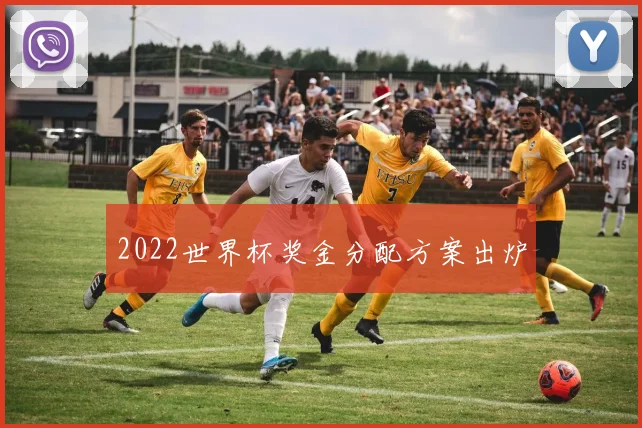 2022世界杯奖金分配方案出炉