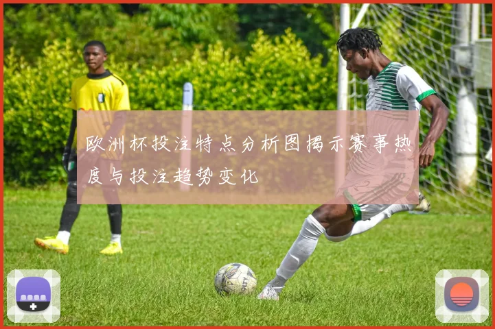 欧洲杯投注特点分析图揭示赛事热度与投注趋势变化